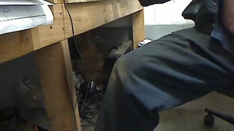 Snapshot of tony2700targa chatting on 07-07-26, 11:14 tony2700targa online show from 07-07-26, 11:14