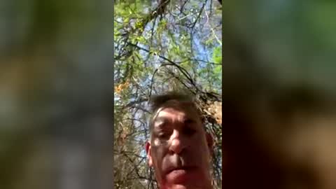 Tony Dotato online show from 08-02-26, 03:21
