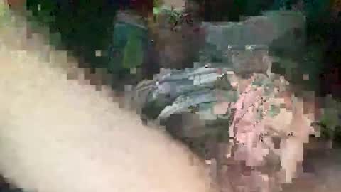 Snapshot of tonyyy_003 chatting on 05-04-26, 11:01 tony03 online show from 05-04-26, 11:01