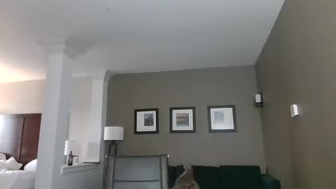 Snapshot of toomuchsmoke chatting on 02-06-25, 12:22 toomuchsmoke online show from 02-06-25, 12:22