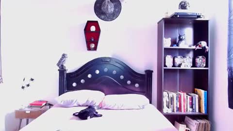 toothyy online show from 01-19-25, 02:59