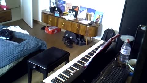 tootsybird69 online show from 06-16-26, 05:59