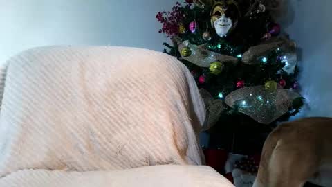 Enzo Moretti online show from 11-28-25, 01:52