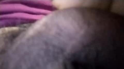 torresabel762 online show from 04-08-26, 03:56