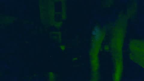toxicidad_sex online show from 06-04-26, 09:48