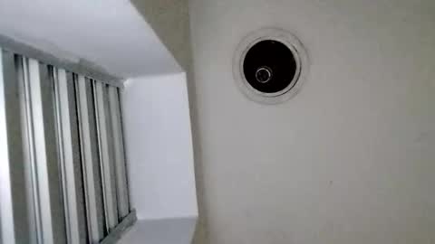 TradicionCanera23cm online show from 03-01-26, 11:01