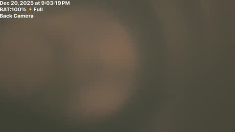 Snapshot of trancemaster90900 chatting on 12-21-25, 03:02 Fembttom online show from 12-21-25, 03:02