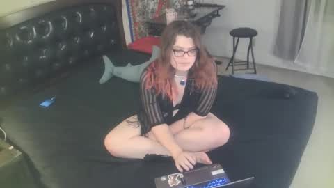 Snapshot of tranicpixiedreamgrl chatting on 11-25-25, 02:00 tranicpixiedreamgrl online show from 11-25-25, 02:00