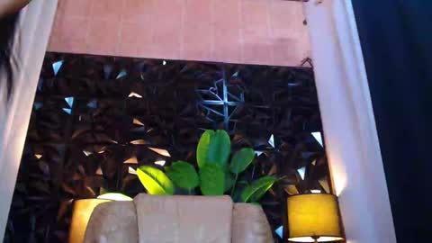 transpornidol online show from 12-14-24, 04:31