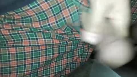 Daddy Edgalot online show from 01-14-25, 07:06