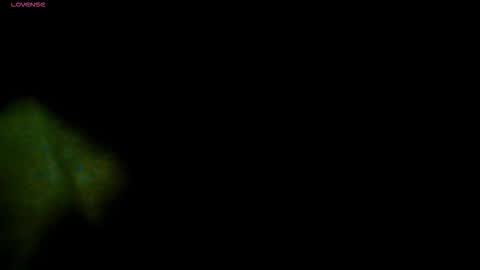 TRAVIS. online show from 11-13-25, 07:13