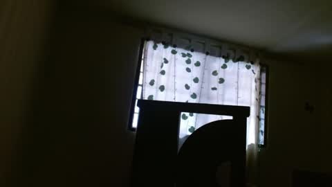 trebol_4 online show from 05-21-26, 02:57