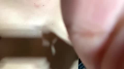 trebz_01 online show from 04-14-26, 12:33