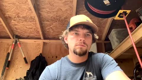 treeman817 online show from 06-11-26, 11:14