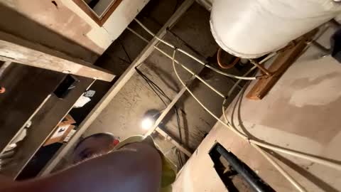 trees559 online show from 03-19-26, 05:55