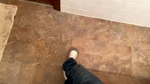 Mystic allusion online show from 12-08-24, 11:19