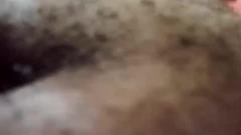 Antique-Shirt2516 online show from 10-08-25, 09:34