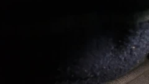 trobelle online show from 12-20-24, 02:49