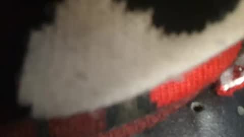 trobelle online show from 12-26-24, 01:43