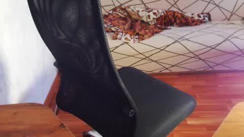 I POST MY FUCKING VIDEOS AND PICS    online show from 02-03-26, 07:02