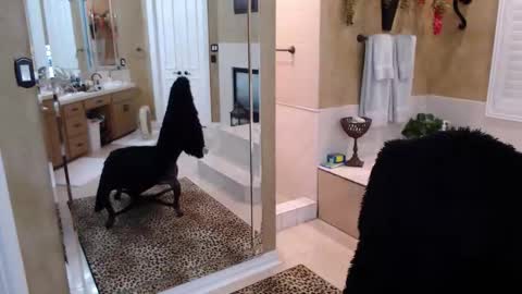 Trophy Wifey  iframe src height528 width850 s online show from 02-19-26, 08:21