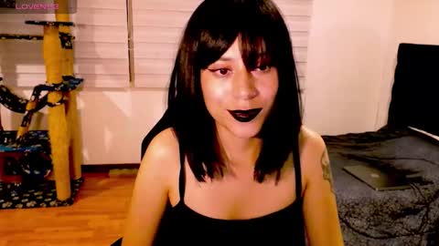 Cait online show from 11-29-25, 07:22