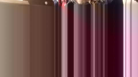Snapshot of trypodman chatting on 12-11-24, 04:31 trypodman online show from 12-11-24, 04:31