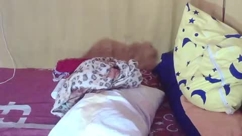 carmella online show from 10-11-25, 02:00