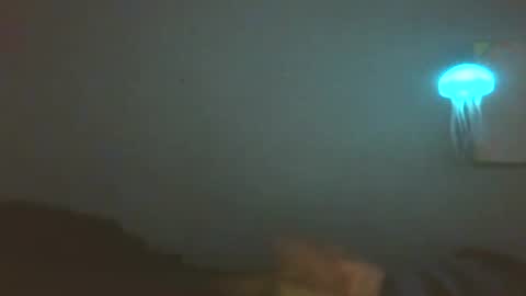 ttbove44 online show from 11-24-25, 08:58