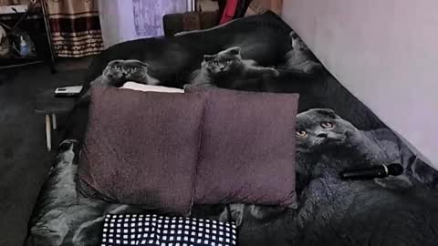 Lana online show from 09-20-25, 10:55