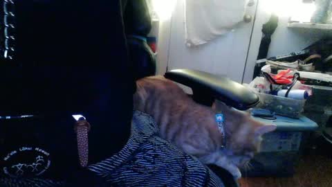 Snapshot of twackedntatted chatting on 12-12-24, 07:37 TwackedNTatted online show from 12-12-24, 07:37