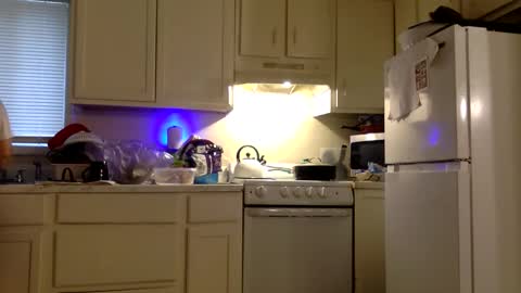 Snapshot of twinandlea chatting on 12-21-25, 08:38 Twin and Lea online show from 12-21-25, 08:38