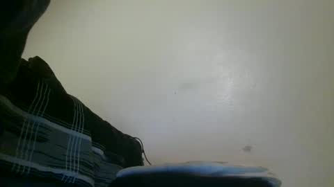 txbigd131369 online show from 02-02-25, 11:08