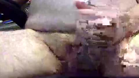 txranger6519 online show from 04-22-26, 12:39