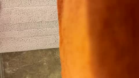 tymm4534 online show from 04-22-26, 10:39