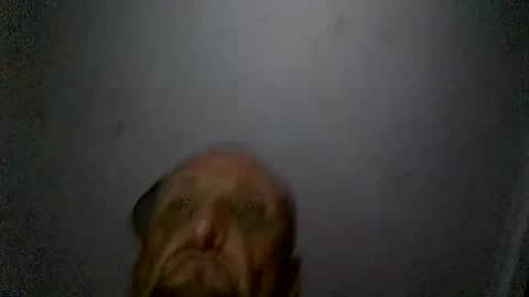 uplatenhorny2379 online show from 12-20-25, 01:51