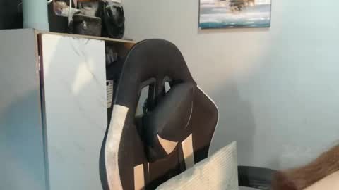 urasianfuckprincessxxx online show from 01-31-25, 09:59