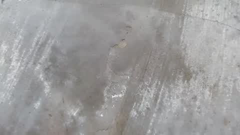 urdreamboy_clarin online show from 04-21-26, 12:44