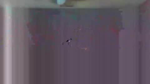 urls2025 online show from 11-23-25, 04:34