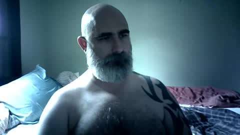 Urso1978BR online show from 12-02-25, 03:40