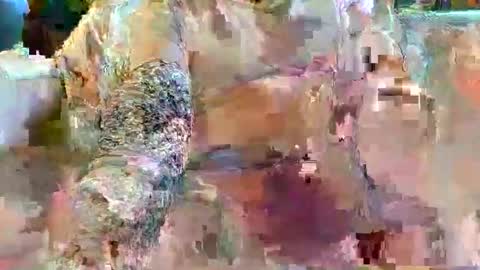 urukai79 online show from 02-17-26, 12:45