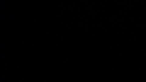 Valen Scott online show from 01-15-25, 11:32