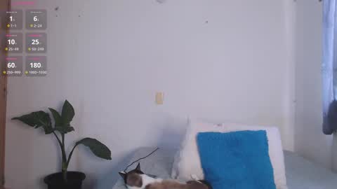 IG-valen mendoza99  twitter valenthompson99 online show from 04-11-26, 01:04