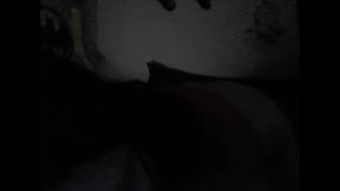 Snapshot of valeria06 chatting on 02-15-25, 06:55 Valeria online show from 02-15-25, 06:55