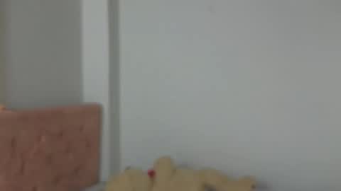 valery_lovex_ online show from 10-10-25, 02:10