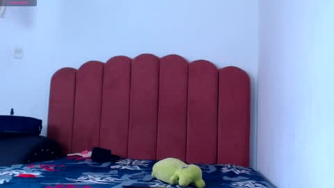 Snapshot of valerybaker1 chatting on 01-02-25, 05:18 B V Naughty online show from 01-02-25, 05:18