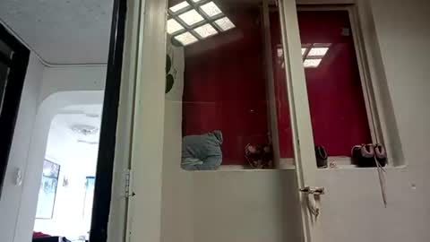   ---   online show from 01-31-25, 06:14