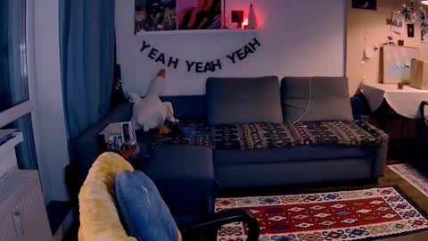 Little Devil online show from 01-17-26, 03:28