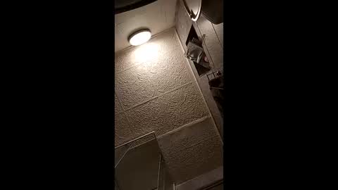 vasi06 online show from 04-12-26, 07:52