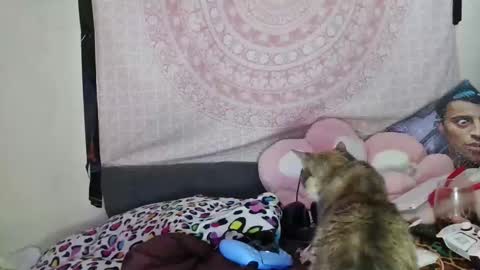 Veronica Lehane online show from 12-10-24, 07:05